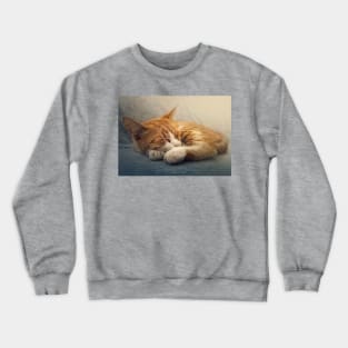 ginger cat resting on a sofa Crewneck Sweatshirt